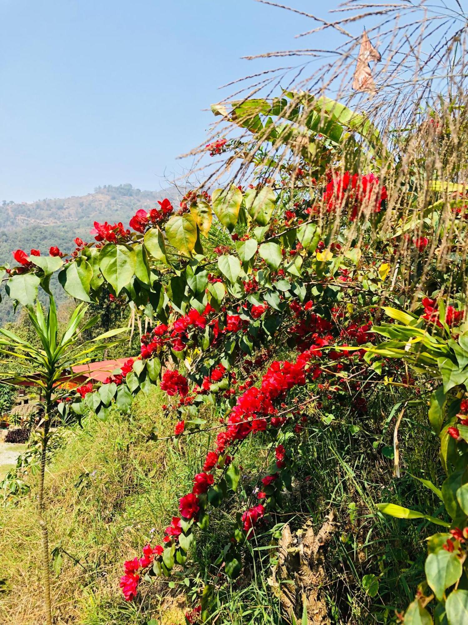 Vila Into The Wild Pokhara Kāskī Exteriér fotografie
